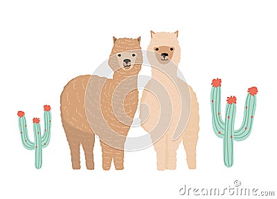 Pair of cute llamas isolated on white background. Couple of beautiful funny wild South American animals standing Vector Illustration