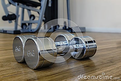 Pair of Dumbells in a Sport Fitness Room Stock Photo