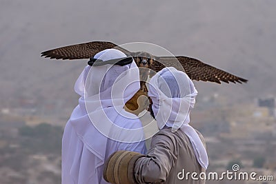 A pair of Emirati falconers hold a peregrine falcon Falco peregrinus in the United Arab Emirates UAE a culture and tradition Stock Photo