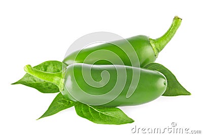 Pair of fresh organic jalapeno chili pepper with green leaves. Stock Photo