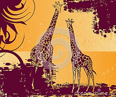 Pair of giraffe Cartoon Illustration