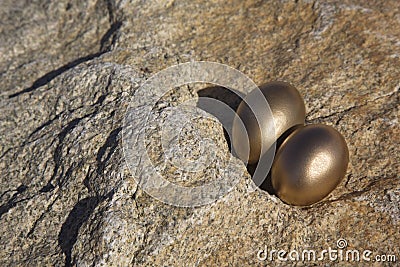Pair of gold eggs exposed and vulnerable on sunlit rock Stock Photo
