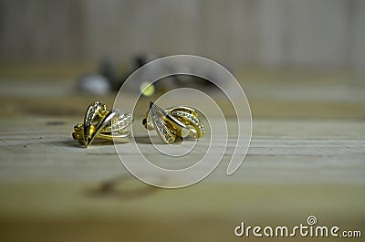 Pair of jewelry earing on wooden table background Stock Photo