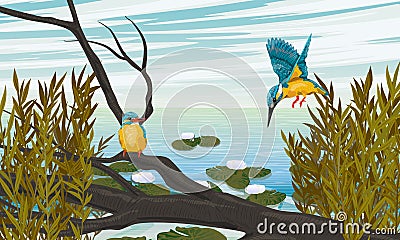 A pair of kingfishers sits on a branch on the shore of a large lake with white water lilies Vector Illustration