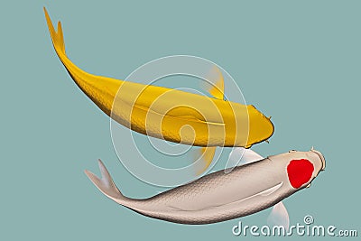 A pair of koi fish Stock Photo