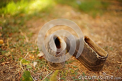 Pair of old dirty galoshes in the garden Stock Photo