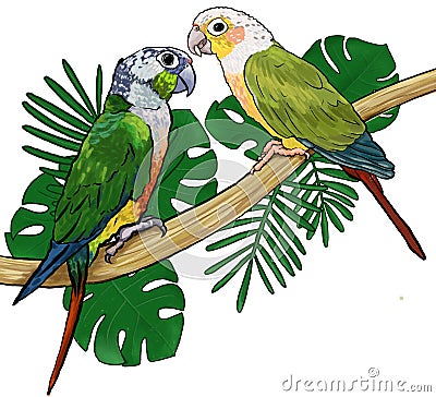 Pair Parrots tropical exotic birds sitting on branch monstera and palm leaves Cartoon Illustration