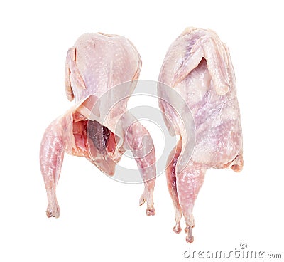 Pair of raw plucked and gutted quails isolated Stock Photo