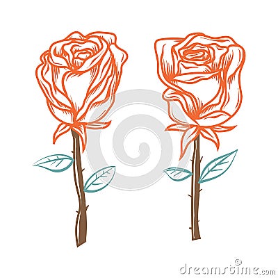 Pair of Roses. Hand Drawn Roses. Vector Illustration