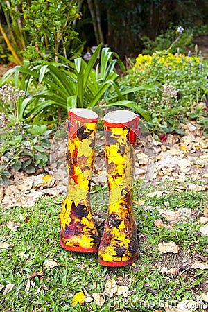 Pair of Rubber Boots Stock Photo