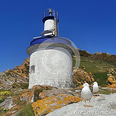 Pair of seagulls in the CÃ­es Islands lighthouse, in the Atlantic Islands natural park Stock Photo