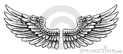 Pair of Spread Eagle or Angel Feather Wings Vector Illustration