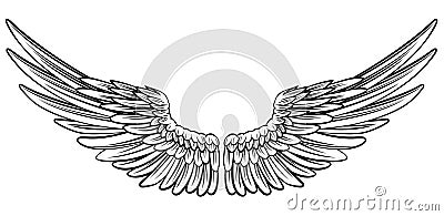 Pair of Spread Wings Vector Illustration