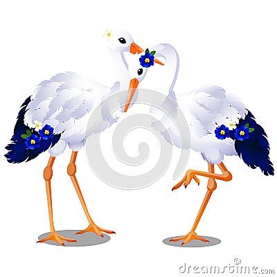 Pair of storks isolated on white background. Vector cartoon close-up illustration. Vector Illustration