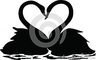 A pair of swans swimming together in a lake, black and white illustration, Valentine`s day Vector Illustration
