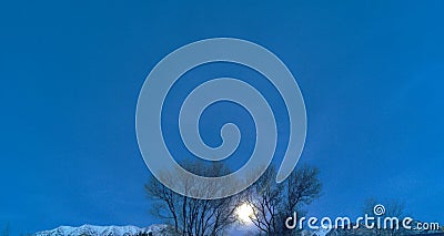 Two Trees Illuminated by Moon Stock Photo