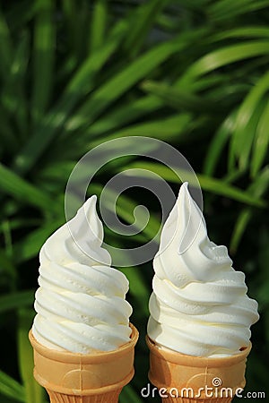 Pair of vanilla soft serve ice cream cones in the sunlight, with green foliage in background Stock Photo