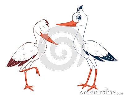 Pair of white storks. Two storks on white background Vector Illustration