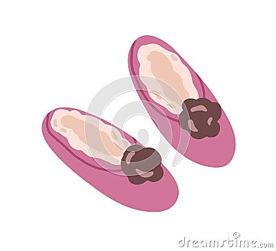 Pair of women closed winter slippers with fur. Cozy home shoes decorated with flower. Comfy female footwear. Colored Vector Illustration