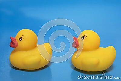 Pair yellow rubber duckling Stock Photo