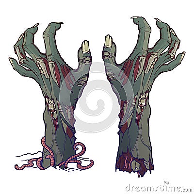 Pair of zombie hands rising from the ground and torn apart. lifelike depiction of the rotting flash with ragged skin Vector Illustration