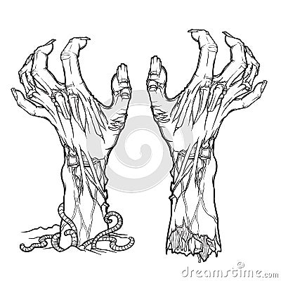 Pair of zombie hands rising from the ground and torn apart. Vector Illustration