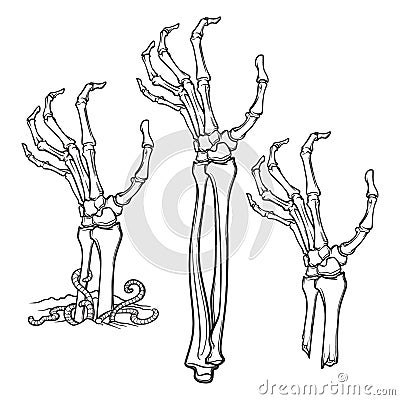 Pair of zombie hands rising from the ground and torn apart Vector Illustration