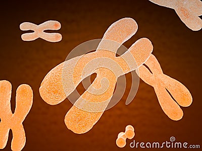 Paired human chromosomes Stock Photo