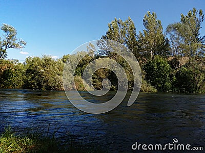 Paisaje veraniego con arboles y rÃ­o Stock Photo