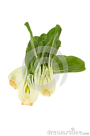 Pak choi Stock Photo