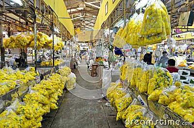 Pak Khlong Talad flower market in Bangkok Editorial Stock Photo