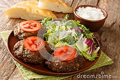 Pakistani cuisine Lamb Patties Chapli Kebab with fresh vegetables close up in the plate. Horizontal Stock Photo