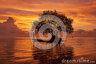 A fisherman on longtail boat and a cork tree agianst beautiful sky background Editorial Stock Photo