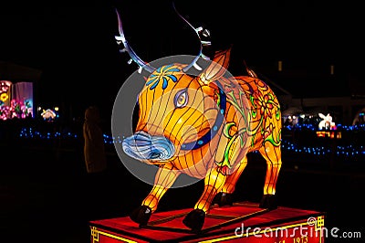 Lantern in the shape of a symbol of the year - Ox. Editorial Stock Photo