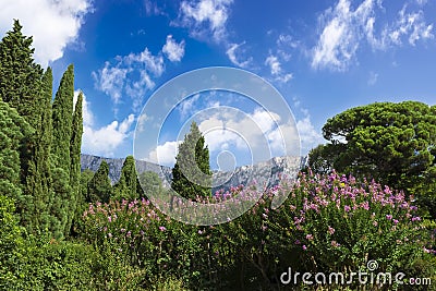 The Palace of count M.W.Vorontsov green park. Ukraine. Crimea. Stock Photo