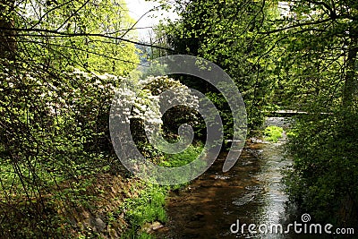 Palace garden with a small river and blooming rhododendrons. Stock Photo