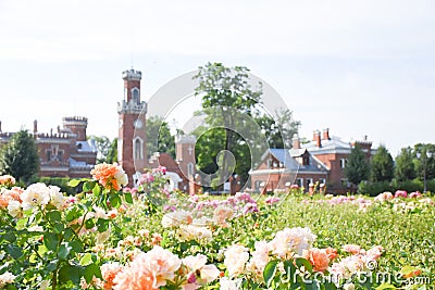 Palace of Oldenburg museum Stock Photo