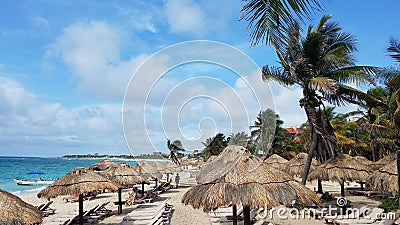 Palapas and Lounge Chairs Along The Beach Editorial Stock Photo