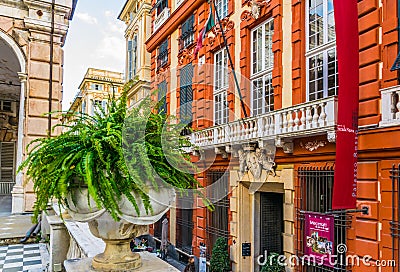 Palazzo rosso and a flower pot in Genoa, Italy...IMAGE Editorial Stock Photo