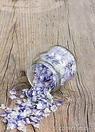 Pale blue flower petals rained down from the glass jars Stock Photo