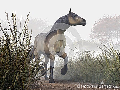 Pale Horse Stock Photo