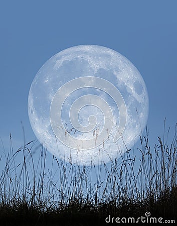 underneath this pale moon sky underneath this pale moon sky