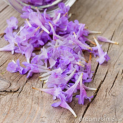 Pale purple flower petals rained down from the glass jars Stock Photo