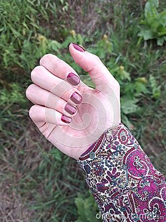 White Female Hand with Metallic Red Nail Polish Stock Photo