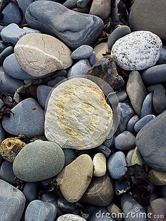 Pale Stone on the Beach Stock Photo