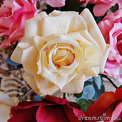 Pale white fake rose flower Stock Photo