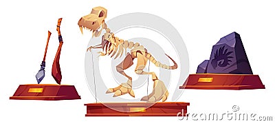 Paleontology museum objects exhibits items, finds. Vector Illustration