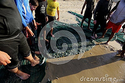 Palestinian fishermen gather their nets at the beach Editorial Stock Photo