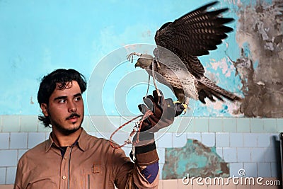 Palestinian man, loves to raise dangerous snakes and hawks at his home Editorial Stock Photo