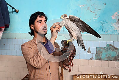 Palestinian man, loves to raise dangerous snakes and hawks at his home Editorial Stock Photo